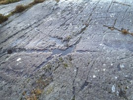 Enigmatic carvings at Ballybane West