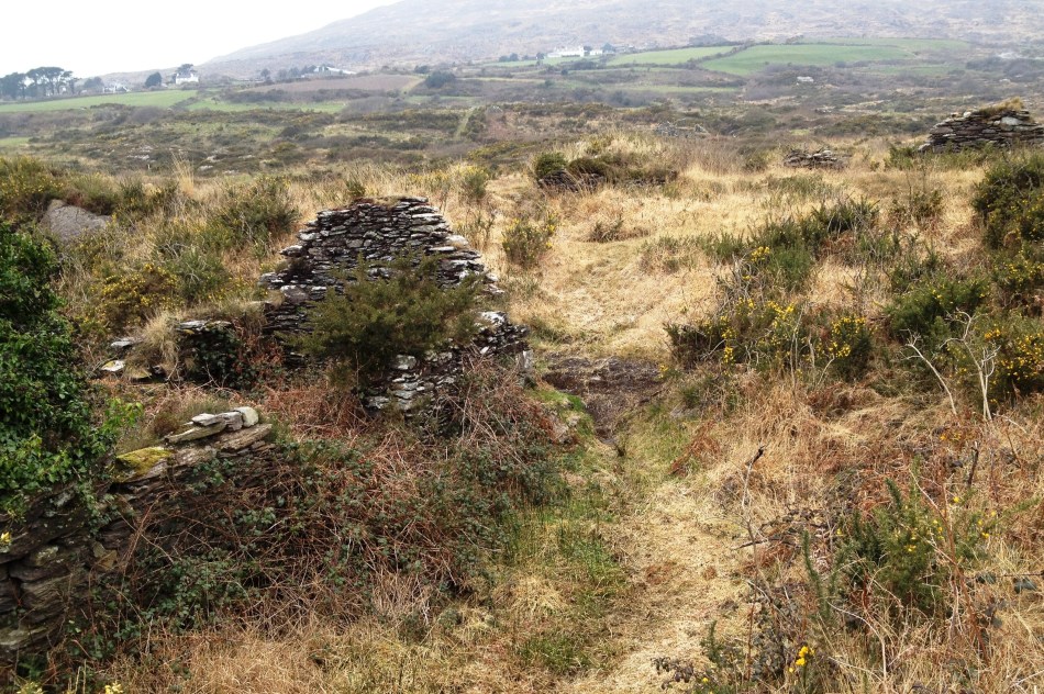 An abandoned village slowly returns to the bog