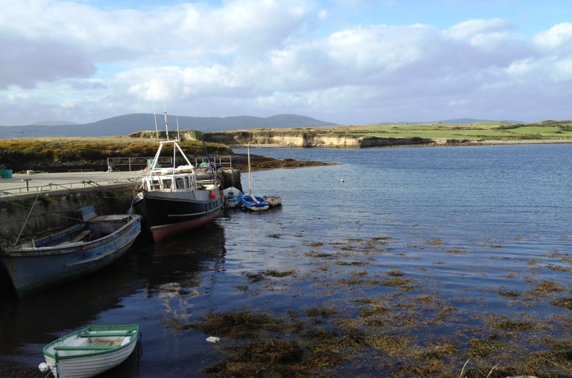 Dunmanus Harbour