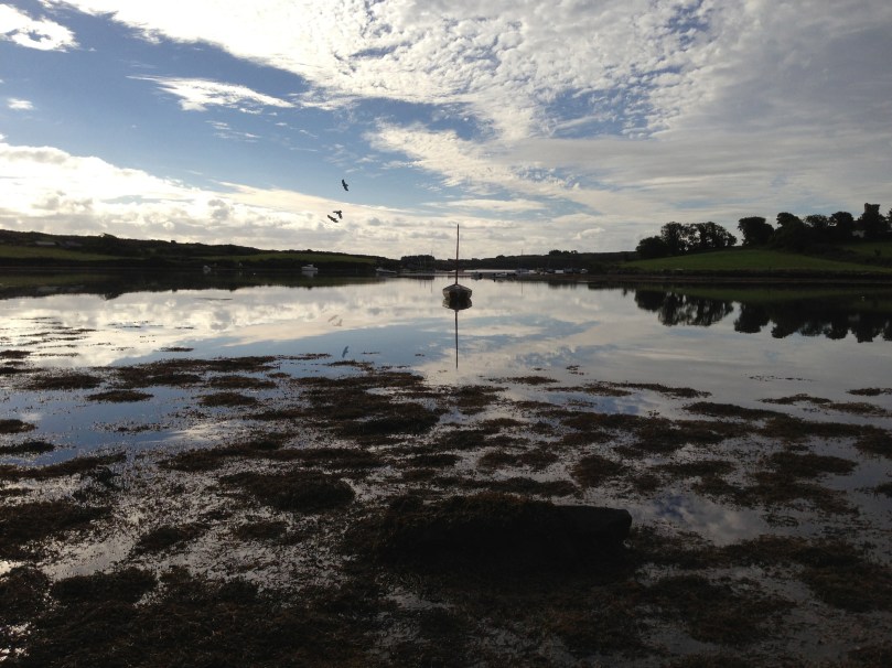 Rossbrin Cove: Chough country