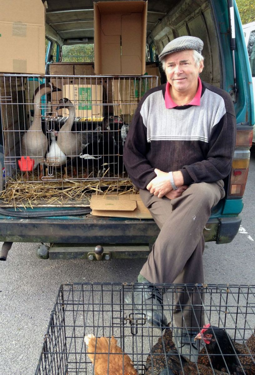 Herself would have raised the ducks.