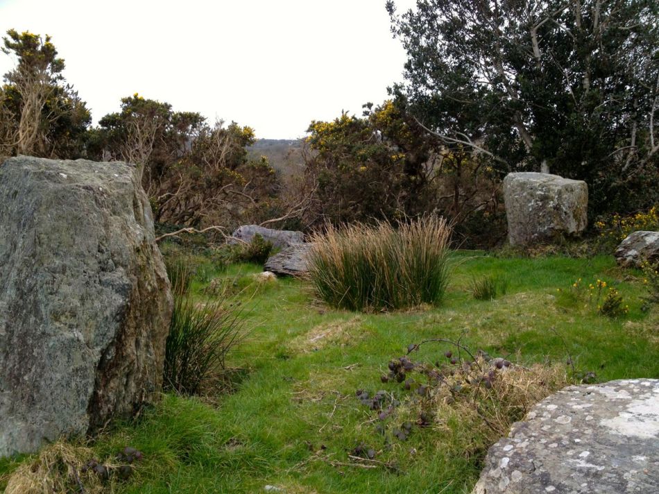Gorteanish Stone Circle, re-discovered in the laying out of  the Sheep's Head Way