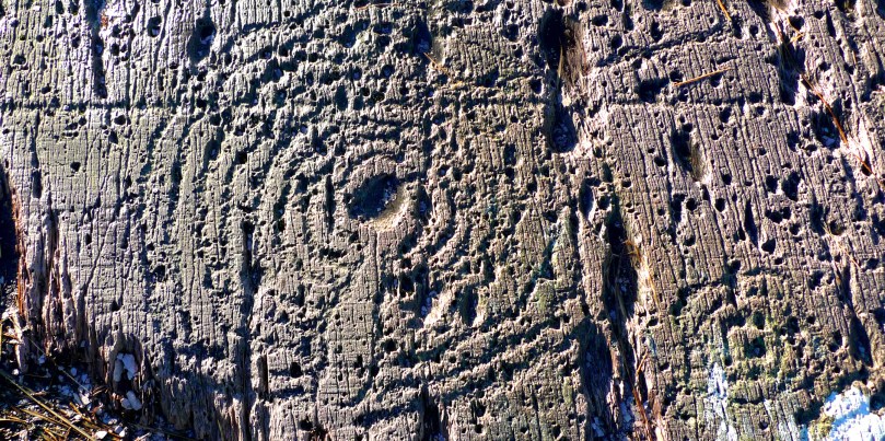 Cupmark with eight rings at Derrennaclogh