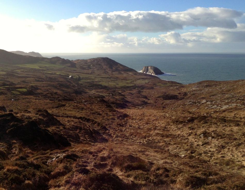 Bird Island and the Atlantic beyond
