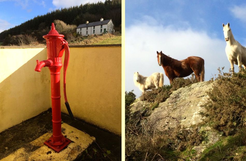 Preserved. Observed.