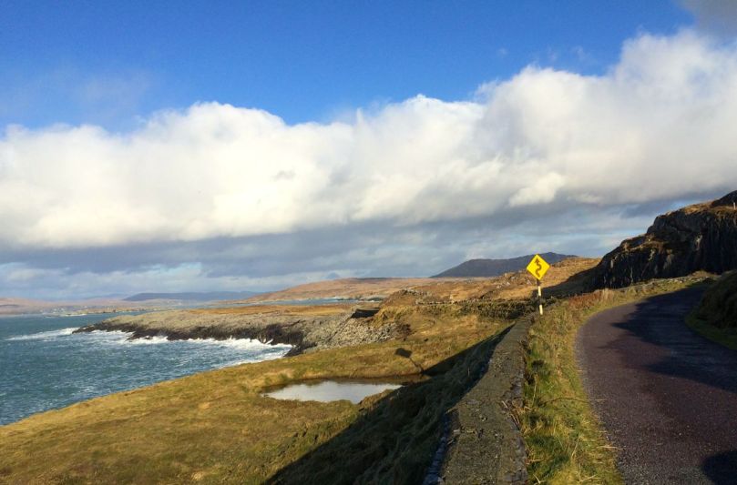 A pet day on The Mizen