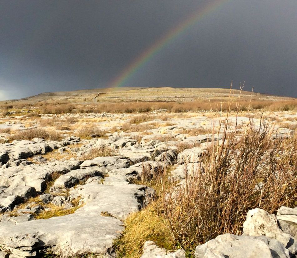 Burren Landscape