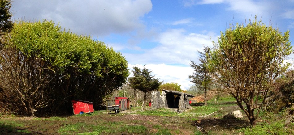 Back Yard Wedge Tomb