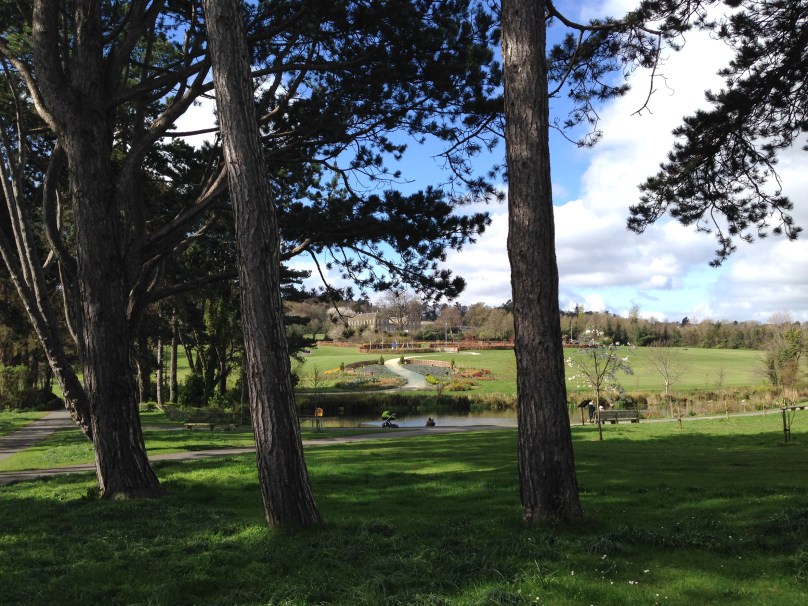 City Amenity: Cabinteely Park