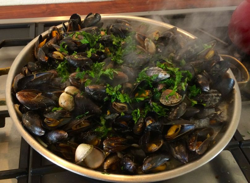 Fresh from the Shore!