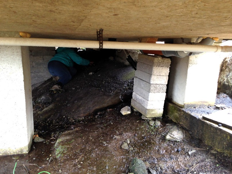 Finola goes underground