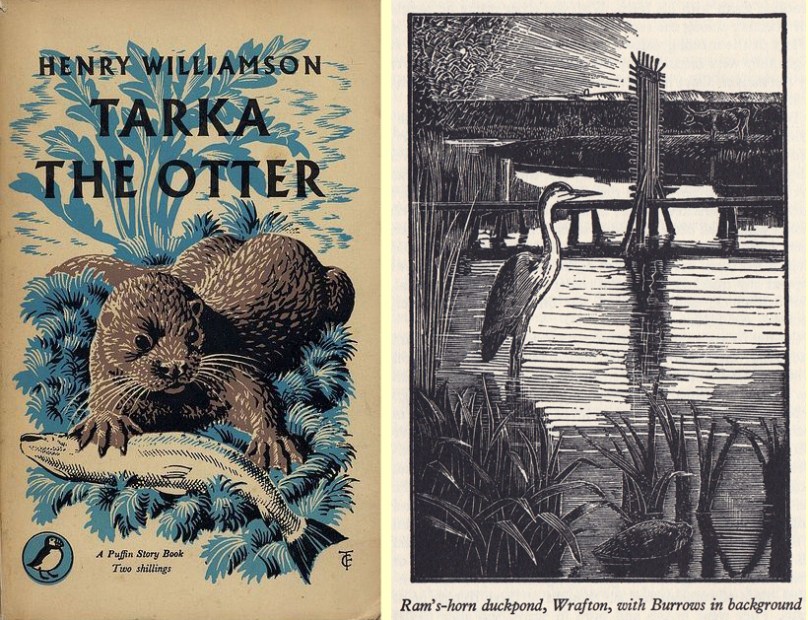 A 'Tarka' edition illustrated by Tunnicliffe