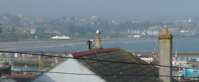 View from my cottage in Cornwall