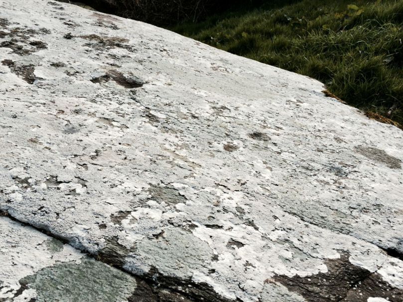 Under all that lichen lie many cupmarks