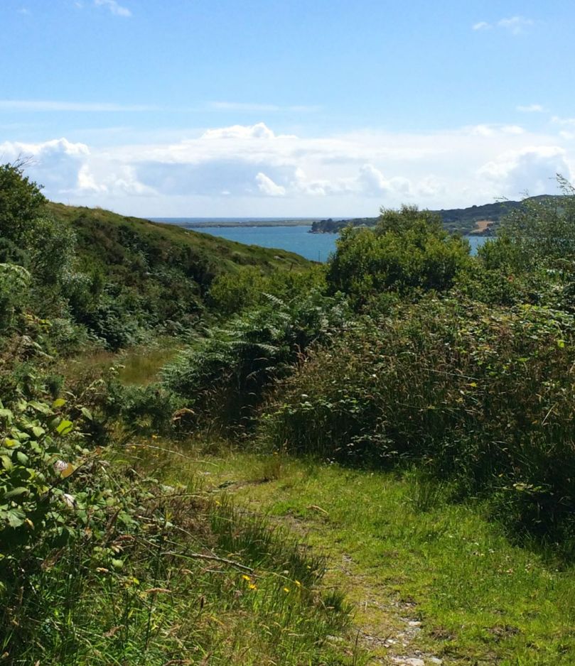 Walking back down: Long Island comes into view