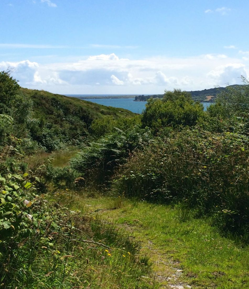 Walking back down: Long Island comes into view
