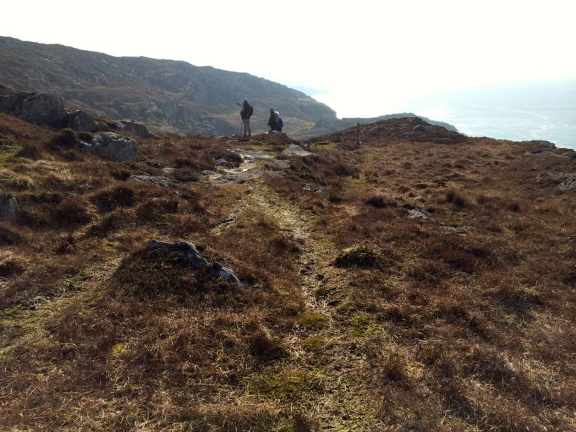 Along the north side