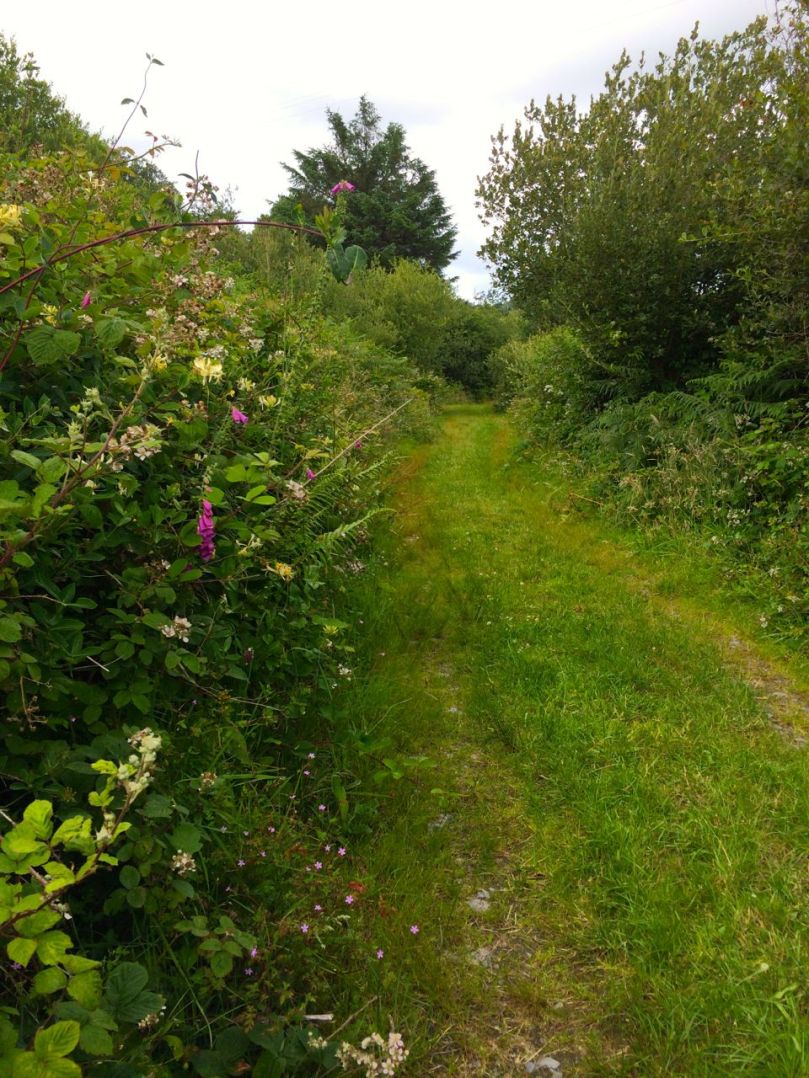 The old Butter Road runs between Schull and Ballydehob