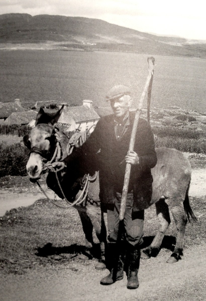 Ready for the Harvest