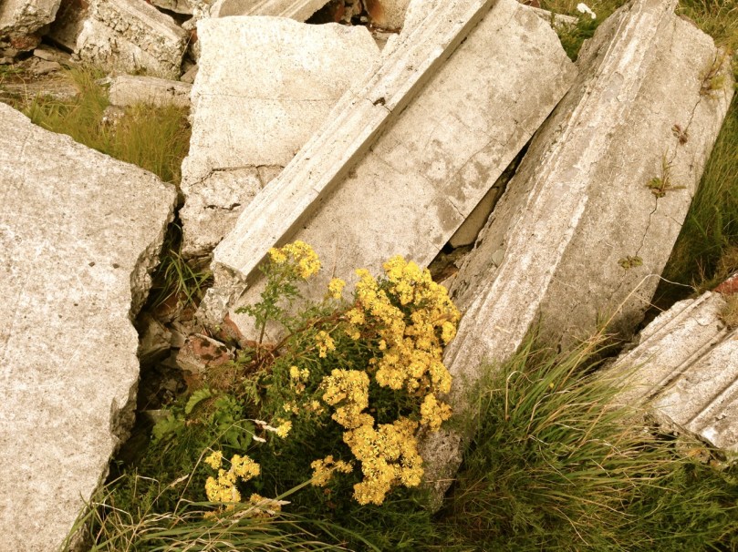 Becoming Archaeology: the ruins on Brow Head today