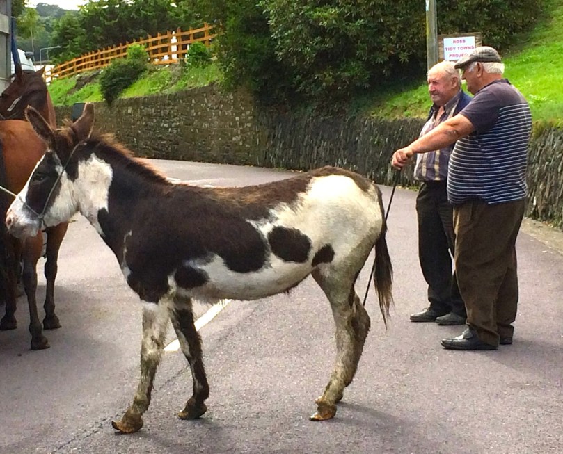 Roscarbery Horse Fair