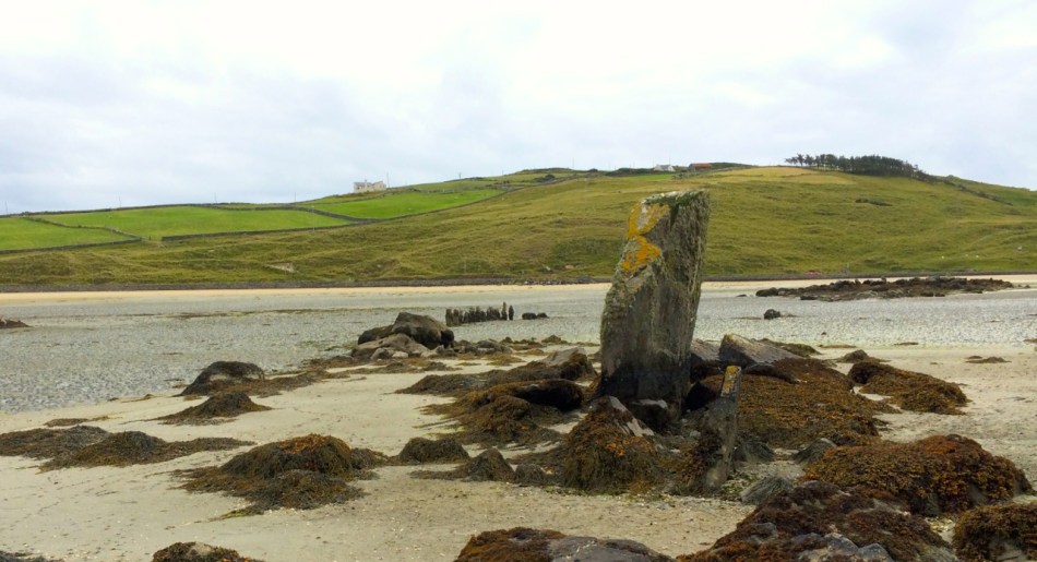 Possible prehistoric field boundary, visible at low tide