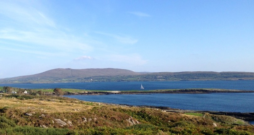 Merlin on Dunmanus Bay