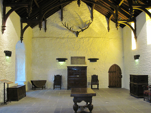 Megaloceros seen in Cahir Castle