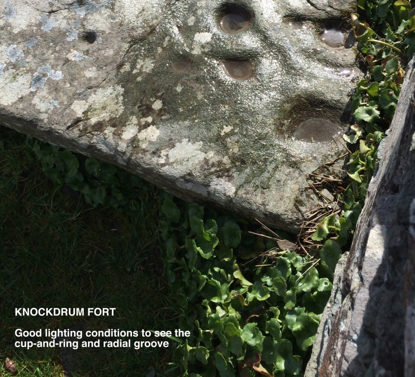 knockdrum detail.PC9