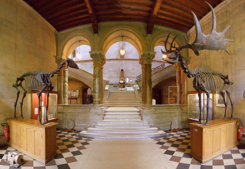 Trinity's pair of irish Elks - female and male