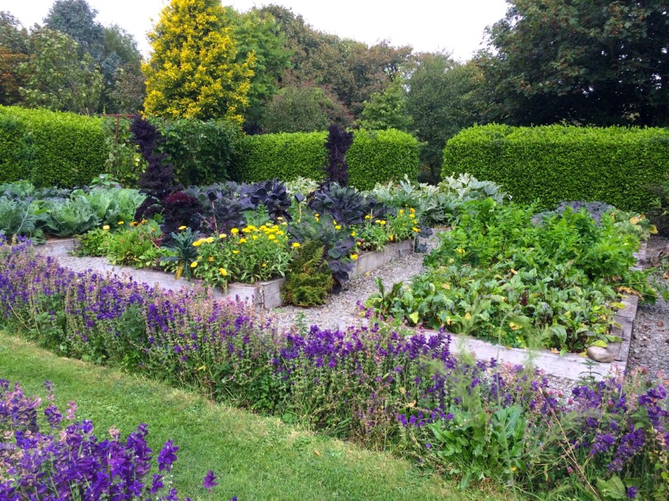 Raised beds