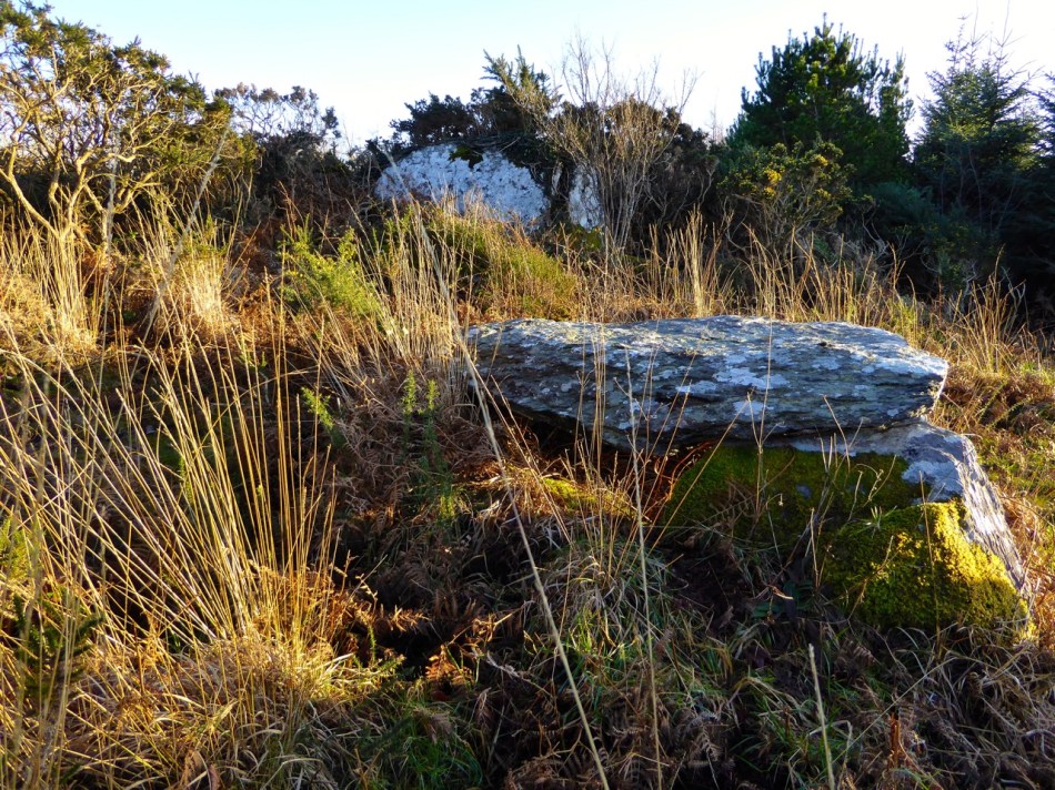 Kilbronogue, side view