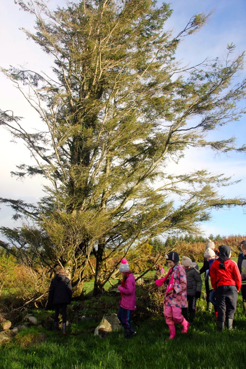 Visiting the Holy Well