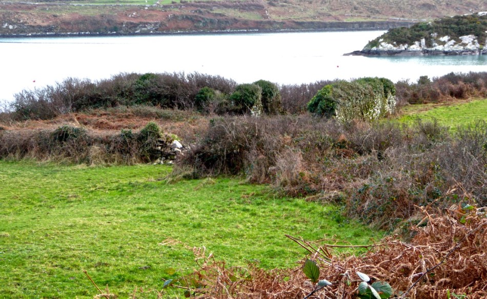 Leenane Fish Palace in 2015