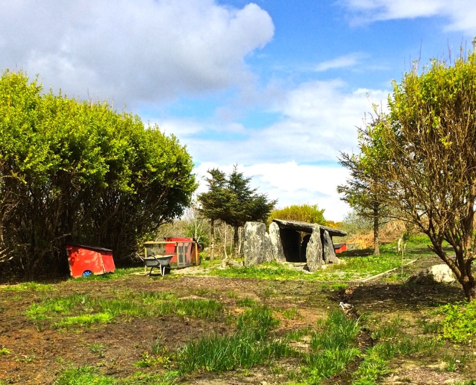 Toormore wedge tomb,  now in someone's garden
