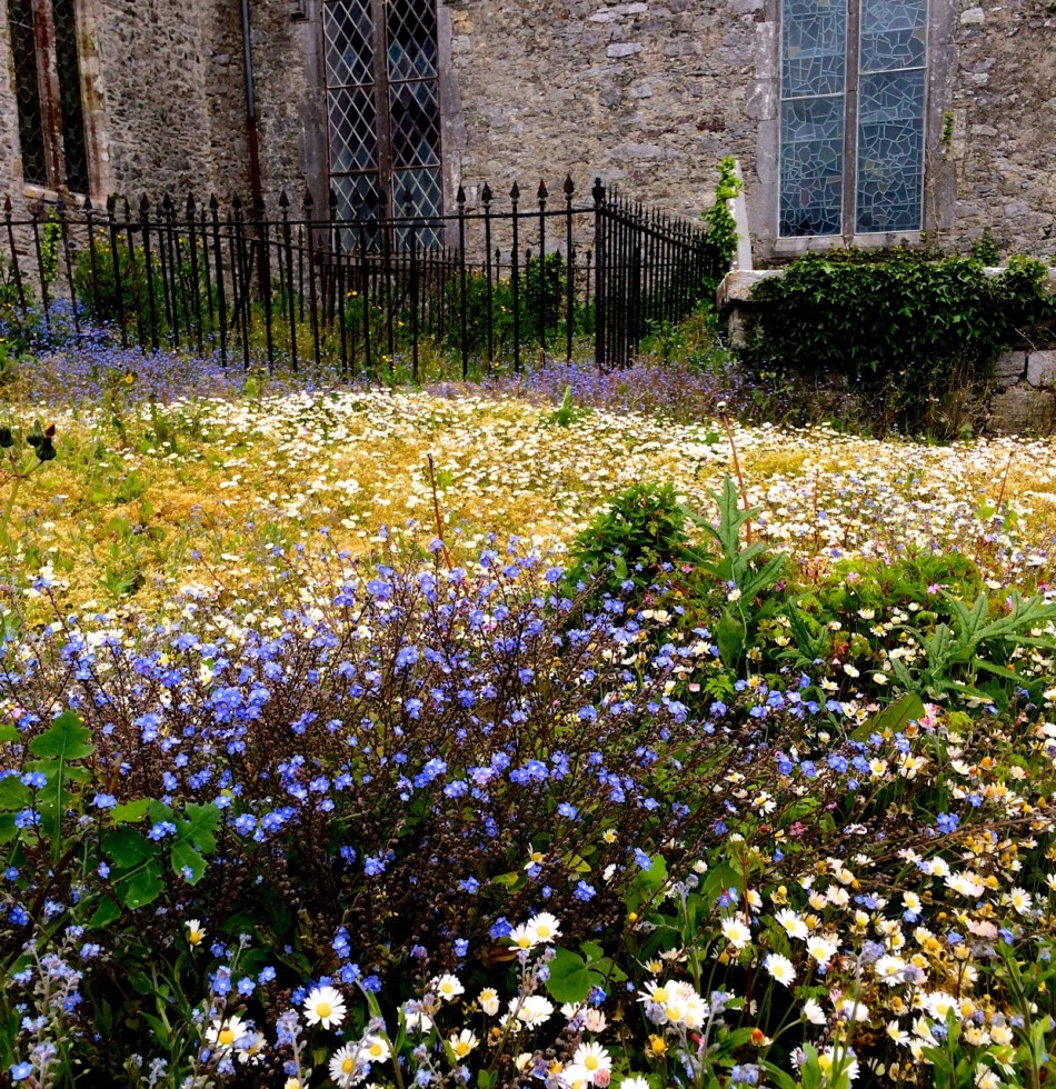 Nothing beats a romantic walk in a graveyard