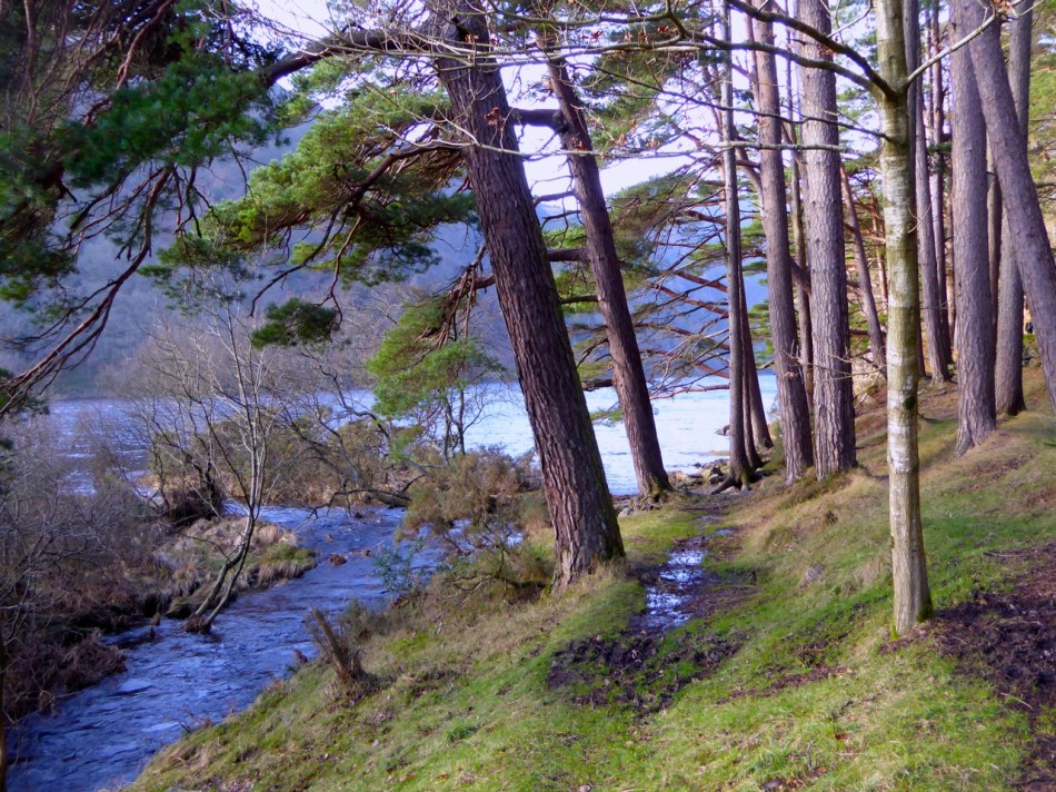 Upper Lake, Glendalough