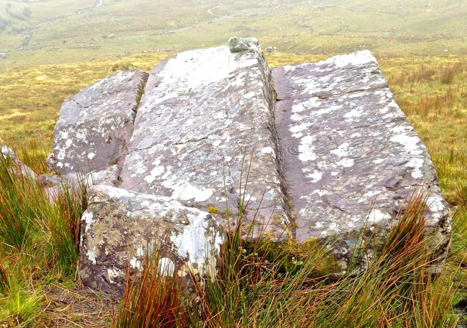 Derrynablaha Panels 5 and 6. Probably most highly carved pieces of rock art in Ireland. Can you see it?