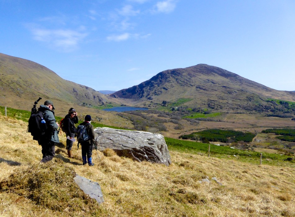 lDerrynablahaandscape - changed and unchanged. Note forestry activity.
