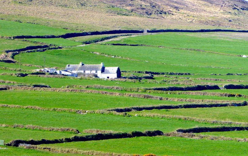 Mizen farm