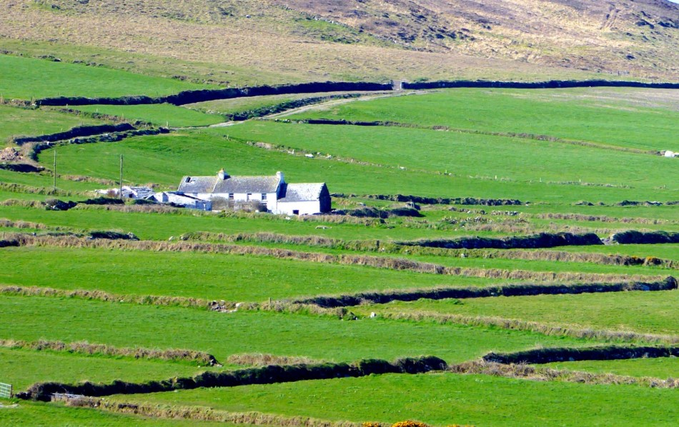 Mizen farm