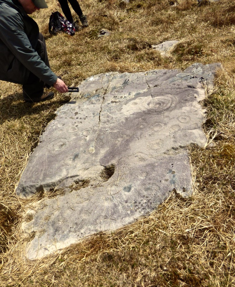 This one wasn't too hard to find