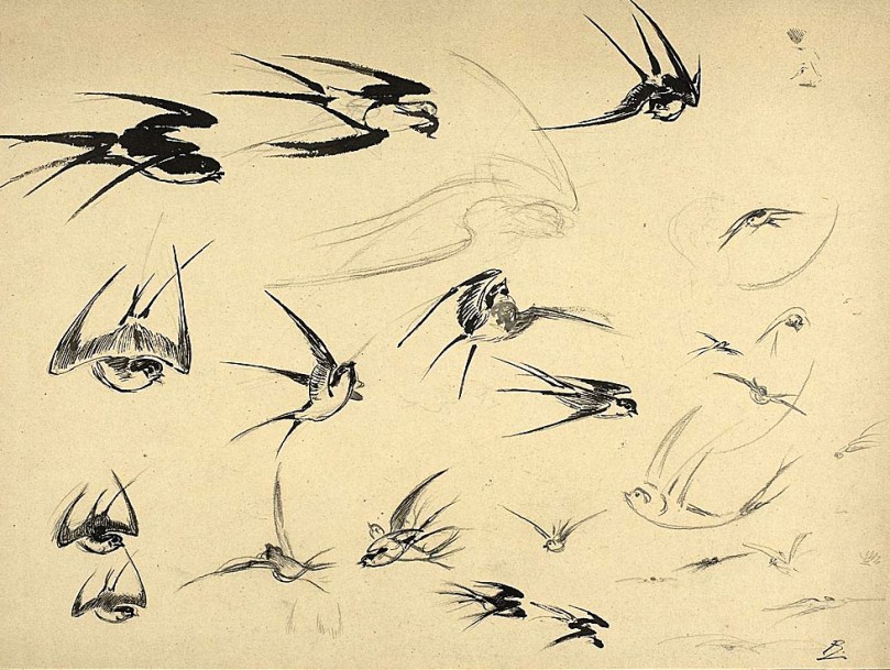 The Swallows: Felix Bracquemond, 1881