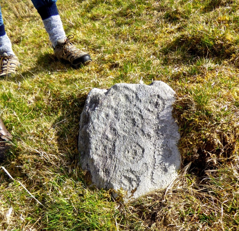 Tiny and perfect example of Derrynablaha rock art