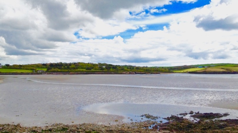 This water was known as Timoleague Bay until it became silted up in the 18th century