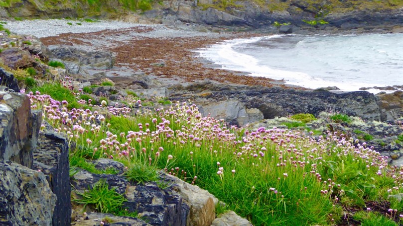 A beach around every bend