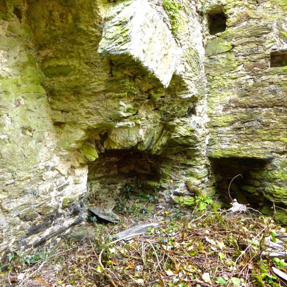 Large ground floor fireplace with bread oven