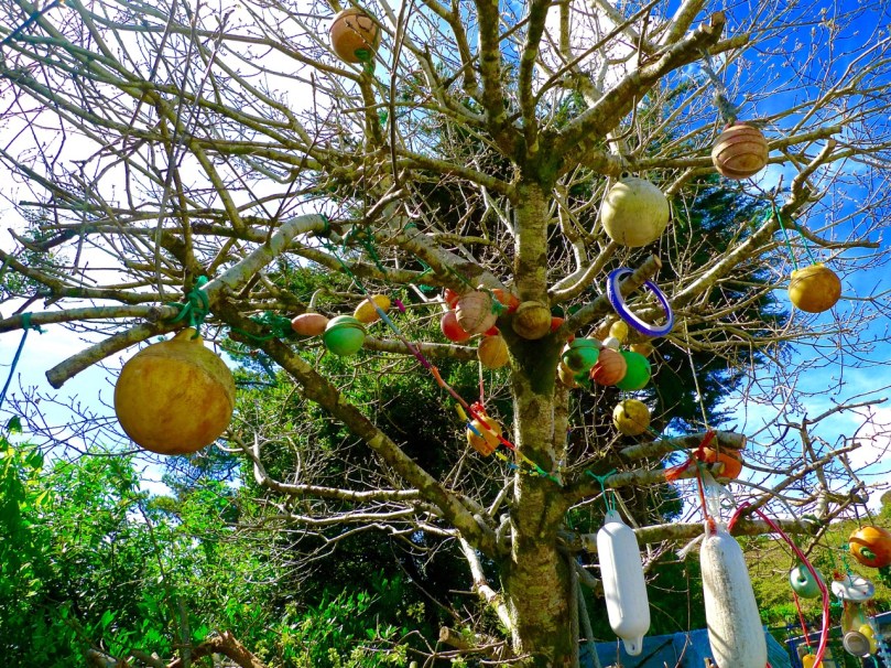 buoy tree