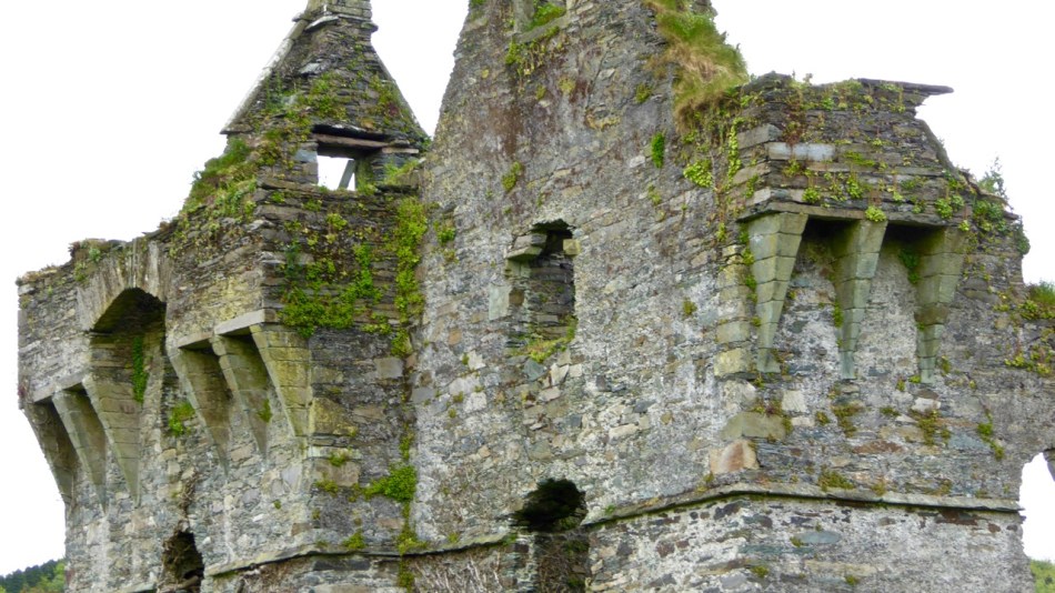 Machicolations at Coppinger's Court