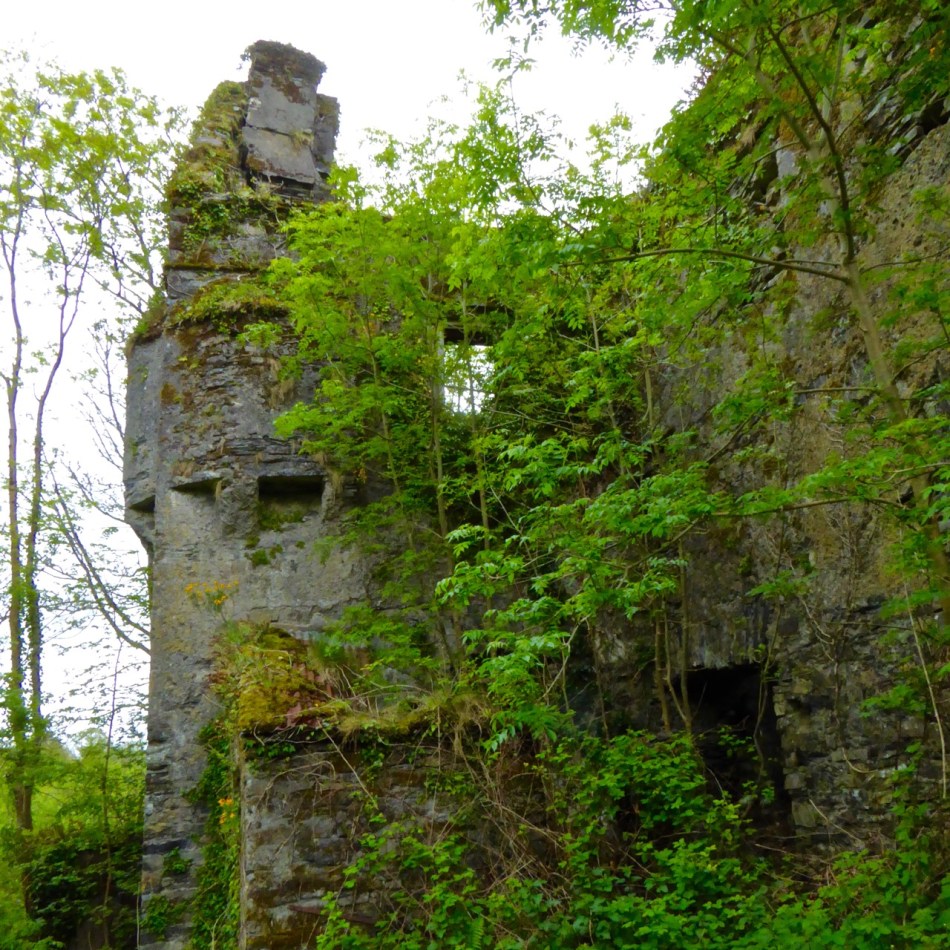 Tower and Bartizan, Reeandisert